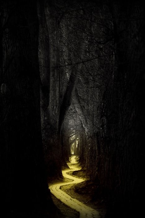 Path through the woods (source: apologies to the owner/creator, not sure where this is from)